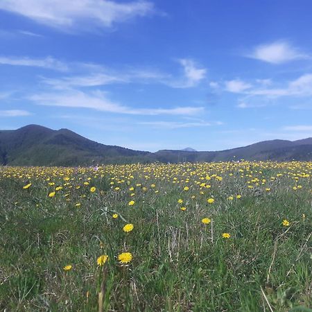 Agriturismo Becerca Vegan Serra San Quirico Eksteriør billede