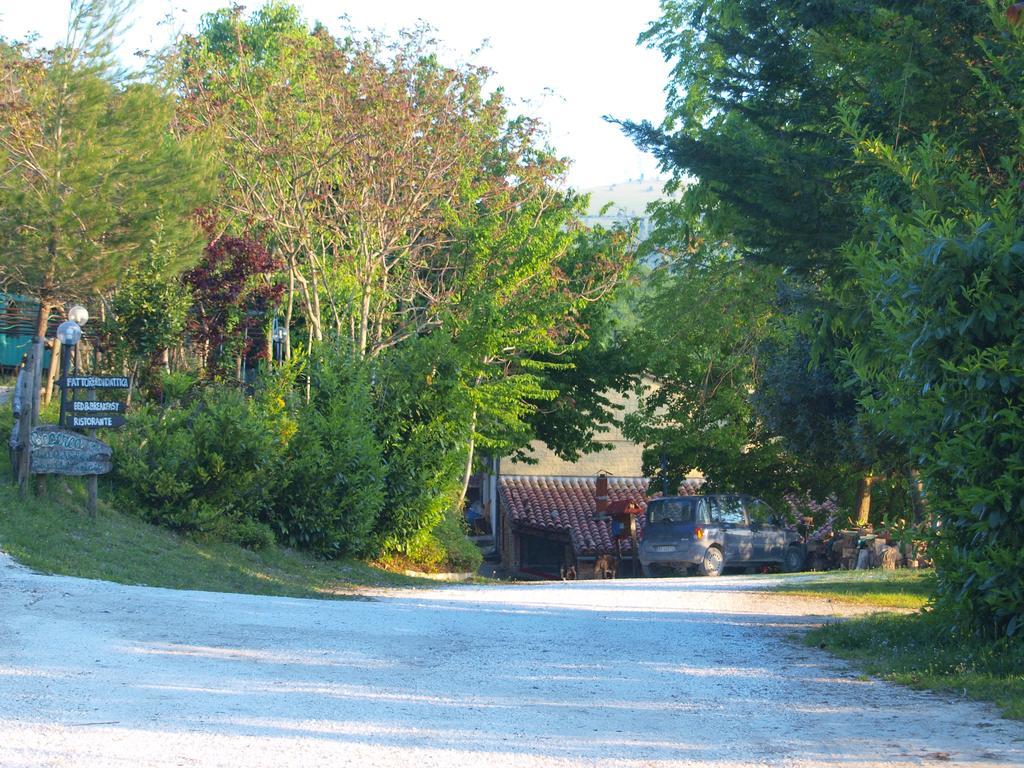 Agriturismo Becerca Vegan Serra San Quirico Eksteriør billede