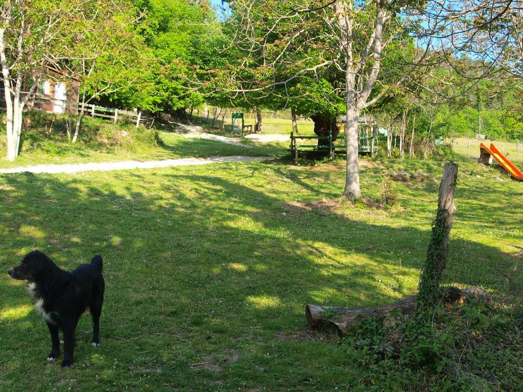 Agriturismo Becerca Vegan Serra San Quirico Eksteriør billede