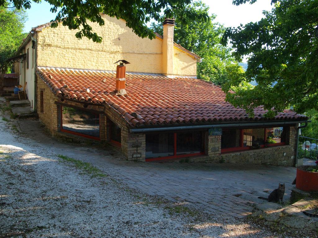 Agriturismo Becerca Vegan Serra San Quirico Eksteriør billede