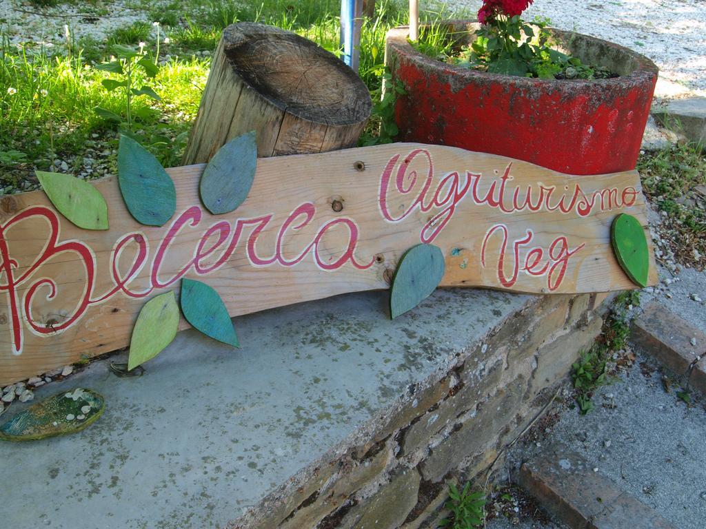 Agriturismo Becerca Vegan Serra San Quirico Eksteriør billede