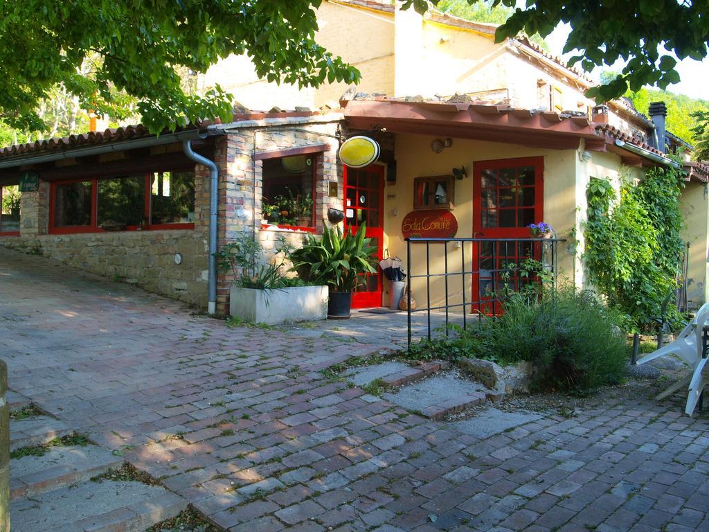 Agriturismo Becerca Vegan Serra San Quirico Eksteriør billede